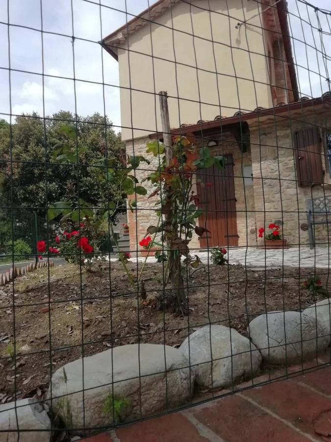 La Casetta Della Letizia Colle  Ngoại thất bức ảnh